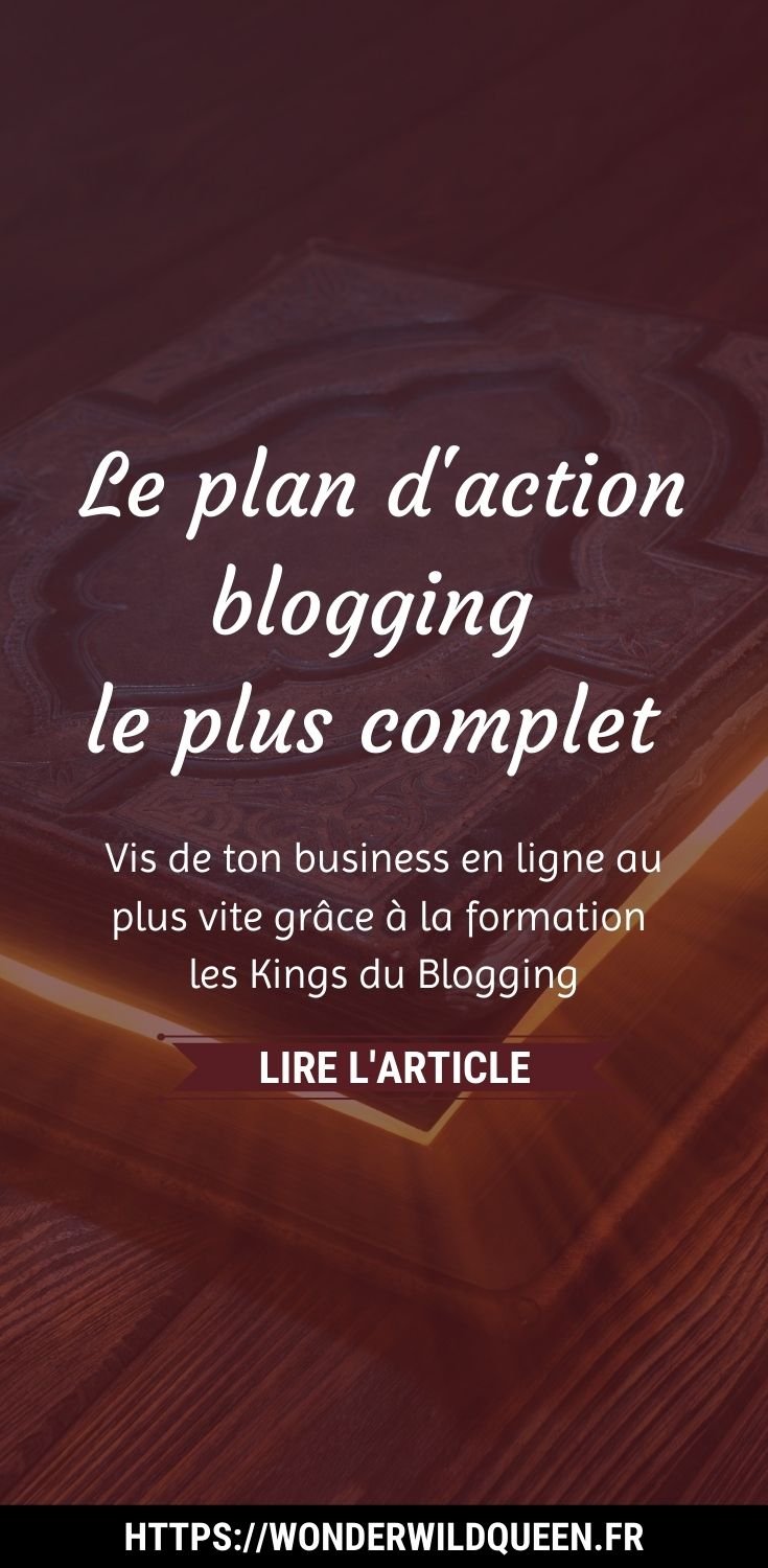 le plan d'action le plus complet #blogging #entrepreneurduweb #businessenligne