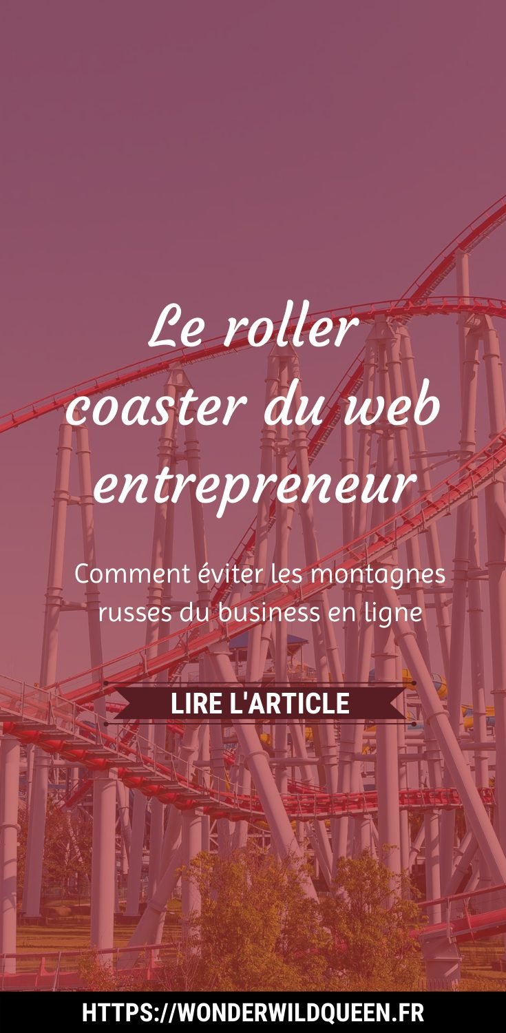 Le roller coaster du webentrepreneur #montagnesrusses #entrepreneur #vente